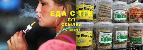 стаф Алзамай