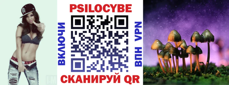 где купить наркотик Владивосток Галлюциногенные грибы прущие грибы